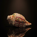 Ornate Jeweled Conch Shell